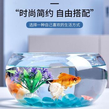 萌嘟星寵魚缸，萌嘟星寵魚缸智能功能介紹萌嘟星寵魚缸的維護(hù)技巧 萌嘟星寵魚缸，萌嘟星寵魚缸智能功能介紹萌嘟星寵魚缸的維護(hù)技巧 魚缸百科 第6張
