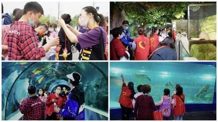 想開一家水族館(如何成功開設一家水族館市場調研水族館市場的成功要素) 水族館百科(水族館加盟) 第4張 想開一家水族館(如何成功開設一家水族館市場調研水族館市場的成功要素) 想開一家水族館(如何成功開設一家水族館市場調研水族館市場的成功要素) 水族館百科(水族館加盟) 第4張