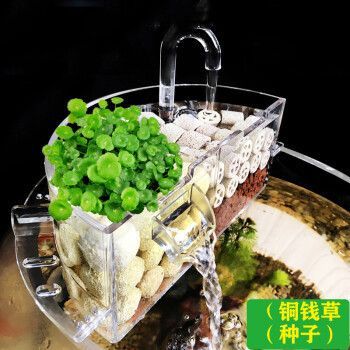 vieruodis魚缸，vieruodis智能魚缸免換水原理