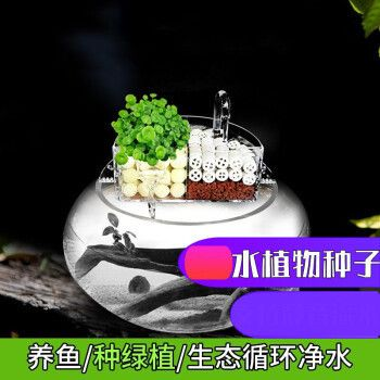 vieruodis魚缸，vieruodis智能魚缸免換水原理