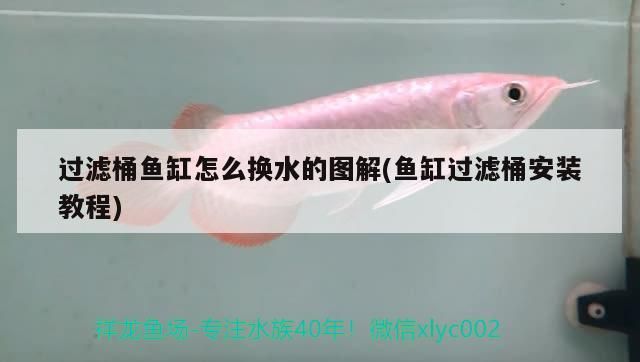 過濾桶魚缸怎么換水的圖解(魚缸過濾桶安裝教程) 過濾桶魚缸怎么換水的圖解(魚缸過濾桶安裝教程) 黃金貓魚百科 第3張