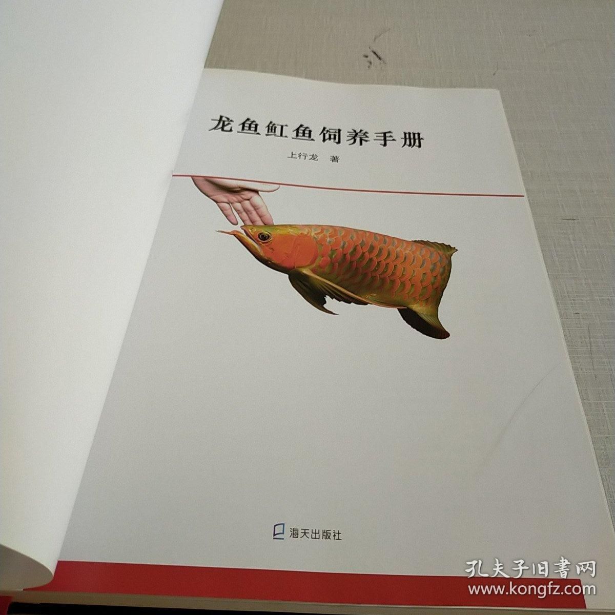 龍魚魟魚飼養手冊上行龍：《龍魚魟魚飼養手冊》