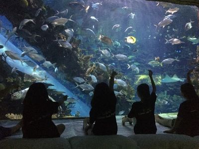 開一家水族館做什么準(zhǔn)備好（開一家水族館需要準(zhǔn)備什么）