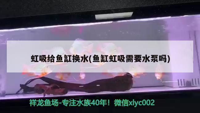 虹吸給魚缸換水(魚缸虹吸需要水泵嗎)