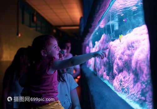 水族館多大帶去看有意義（帶孩子參觀水族館是一個寓教于樂的活動）