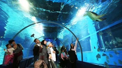 水族館多大帶去看有意義（帶孩子參觀水族館是一個寓教于樂的活動）