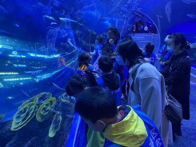 水族館多大帶去看有意義（帶孩子參觀水族館是一個寓教于樂的活動）