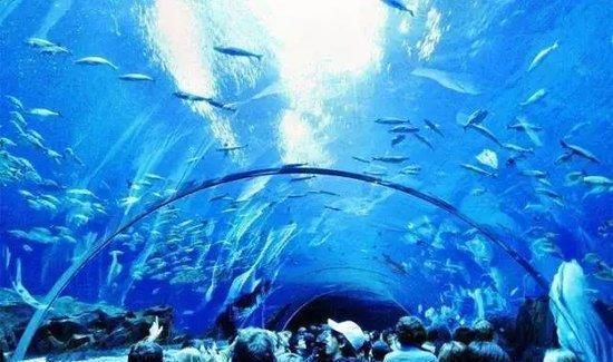 水族館建造費用（建造一個水族館不僅需要考慮投資成本，還需要考慮長期運營和維護）