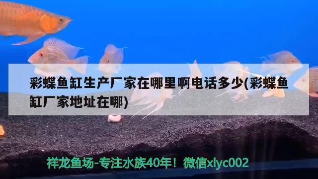 彩蝶魚(yú)缸生產(chǎn)廠家在哪里啊電話(huà)多少(彩蝶魚(yú)缸廠家地址在哪)