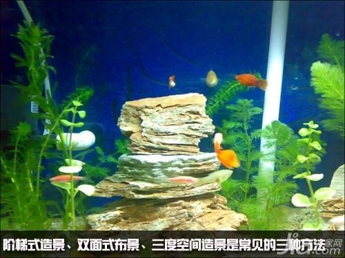 魚缸價錢計算公式，魚缸尺寸與價格關系