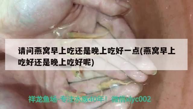 魚缸價錢計算公式，魚缸尺寸與價格關系