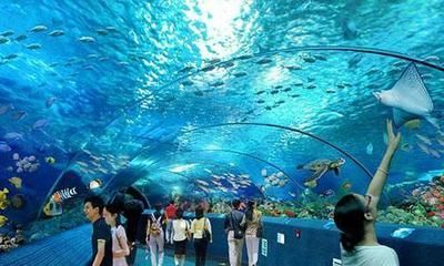 長沙水族館，長沙海底世界開放時間開放時間長沙海底世界開放時間