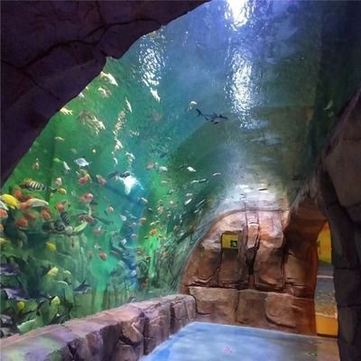想開個水族館,不知從哪里進貨呢怎么辦（水族館如何進貨） 想開個水族館,不知從哪里進貨呢怎么辦（水族館如何進貨） 水族館百科（水族館加盟） 第6張