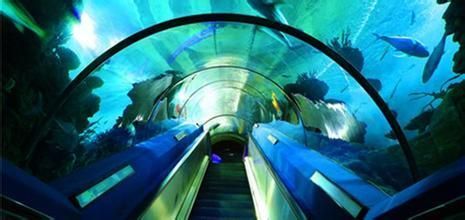 水族館隧道設計的環保材料選擇（新型環保材料——生態復合材料）
