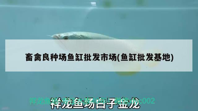 畜禽良種場魚缸批發市場(魚缸批發基地)