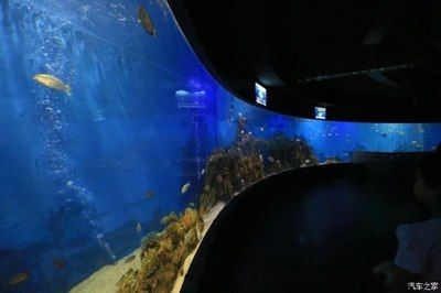 水族館行業政策支持的具體措施（中國政府對水族館行業提供了多方面的政策支持的具體措施）