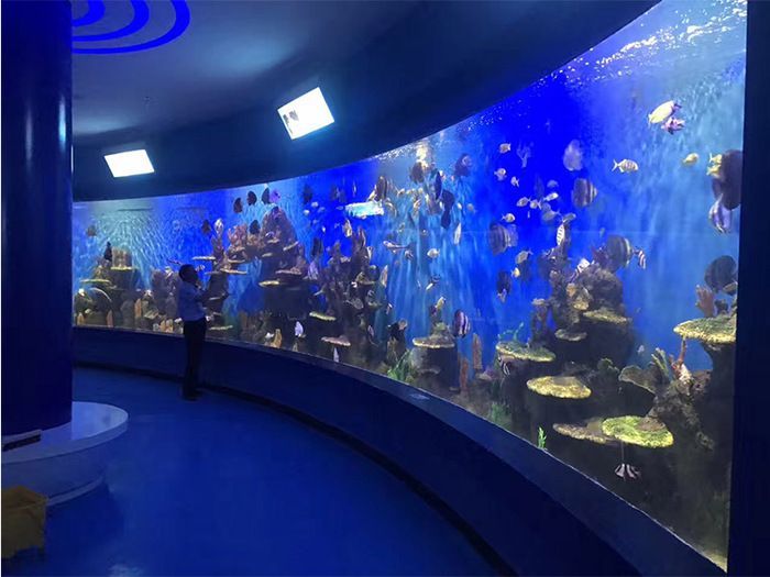 水族館行業政策支持的具體措施（中國政府對水族館行業提供了多方面的政策支持的具體措施）