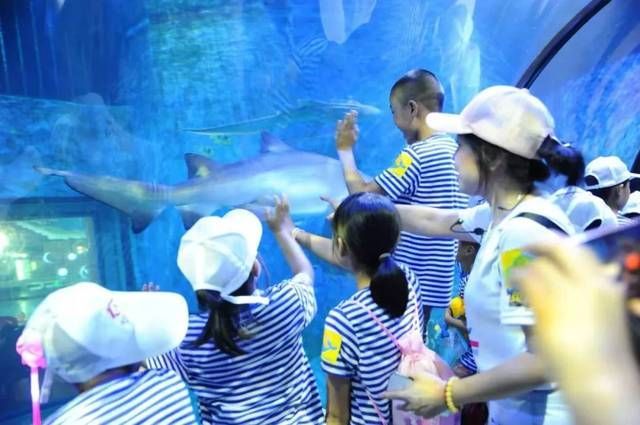 水族館行業政策支持的具體措施（中國政府對水族館行業提供了多方面的政策支持的具體措施）