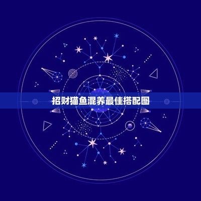 如何選擇招財貓魚混養伴侶，招財貓魚與金魚混養伴侶的飼養技巧 如何選擇招財貓魚混養伴侶，招財貓魚與金魚混養伴侶的飼養技巧 虎魚百科 第2張