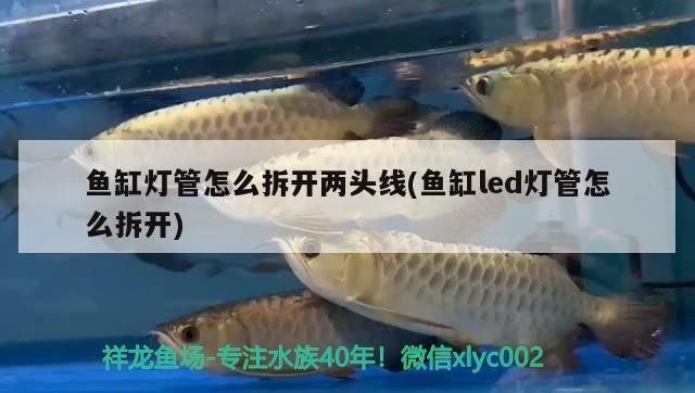 魚缸燈管怎么拆開兩頭線(魚缸led燈管怎么拆開)