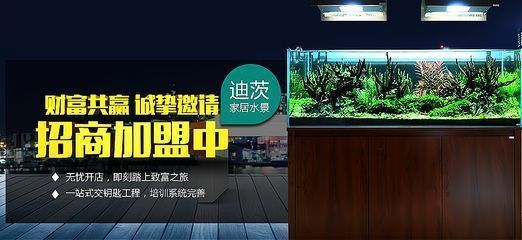 祥龍水族館加盟優勢分析（祥龍水族館加盟條件詳解）