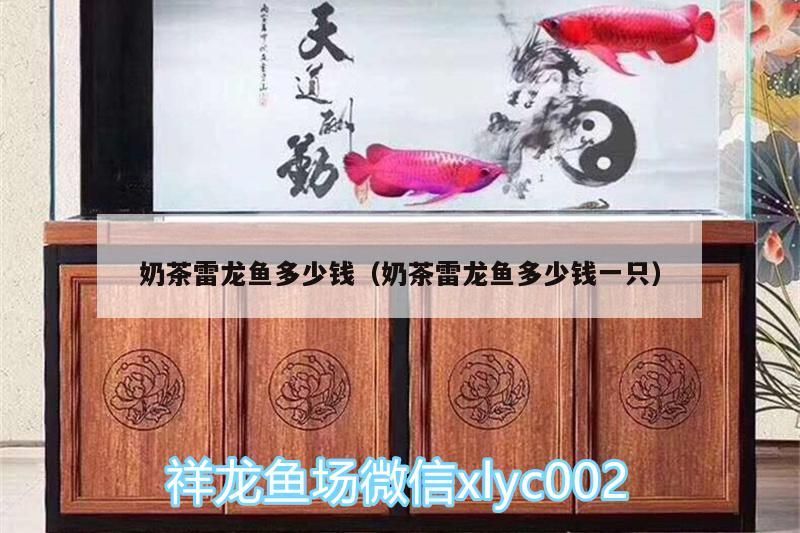 紅龍魚立鱗初期需要換水嗎？（如何判斷紅龍魚立鱗病是否嚴(yán)重？） 紅龍魚立鱗初期需要換水嗎？（如何判斷紅龍魚立鱗病是否嚴(yán)重？） 龍魚百科 第2張