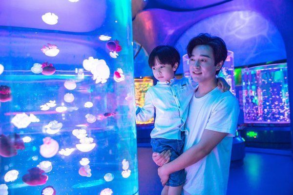 水族館裝修圖片大全（水族館裝修圖片大全展示多種風格和設計的水族館）