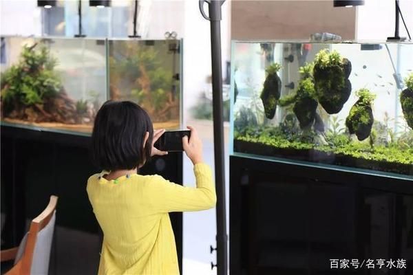 水族館一年能賺多少錢啊（水族館年收入如何計算？）