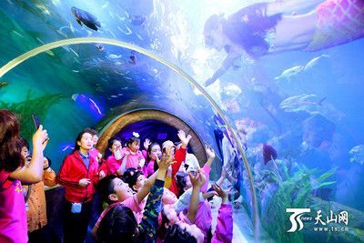 水族館有什么工作內容（水族館環境維護的創新方法,）