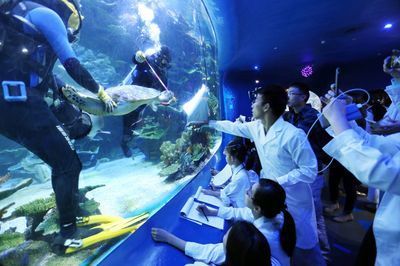 水族館有什么工作內容（水族館環境維護的創新方法,）