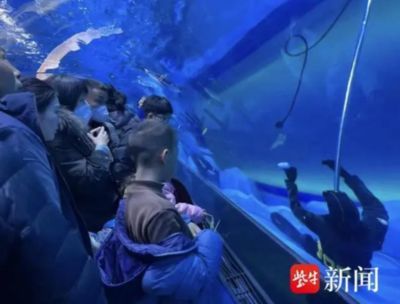 水族館的工作人員是做什么的工作（水族館工作人員工作人員的工作內容和職責內容和職責）