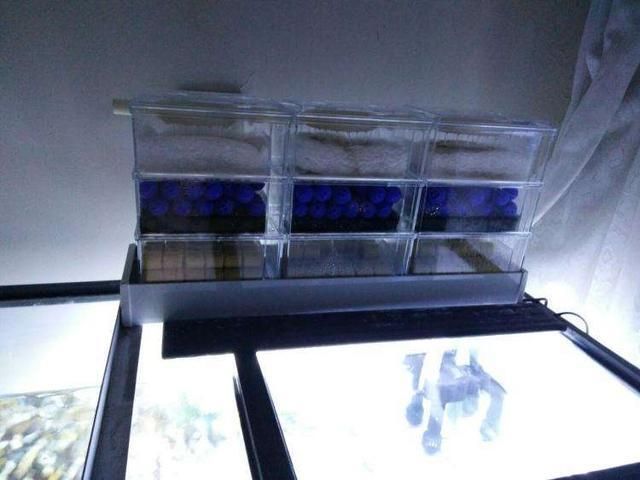 魚缸過濾器不過水，如何判斷魚缸過濾器損壞 魚缸過濾器不過水，如何判斷魚缸過濾器損壞 魚缸百科 第5張