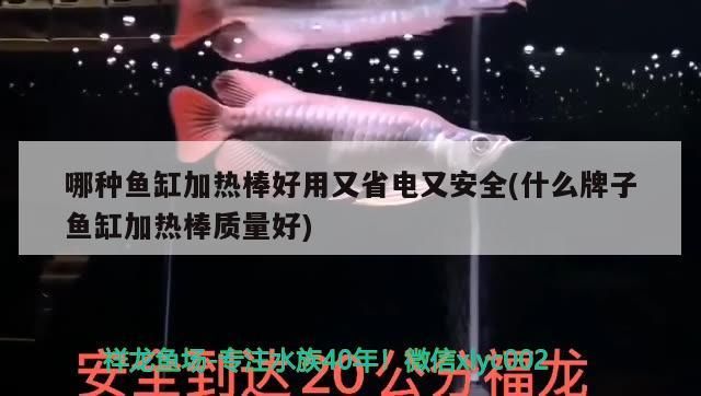 哪種魚缸加熱棒好用又省電又安全(什么牌子魚缸加熱棒質量好)