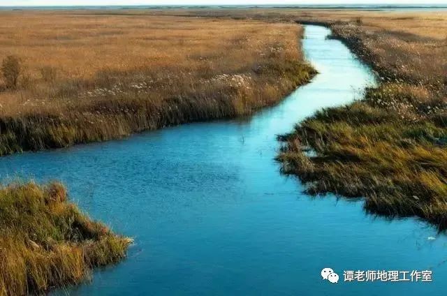 最貴的龍魚叫什么名字好聽點：探尋最貴龍魚的好聽之名