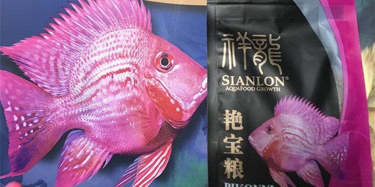 元寶鳳凰魚專用魚糧：元寶鳳凰魚專用魚糧是一種專為元寶鳳凰魚設計的高質(zhì)量、營養(yǎng)均衡的魚糧