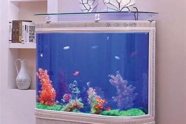 農村家里放魚缸好嗎，農村風水魚缸養護技巧有哪些農村魚缸風水禁忌解析 農村家里放魚缸好嗎，農村風水魚缸養護技巧有哪些農村魚缸風水禁忌解析 魚缸百科 第5張