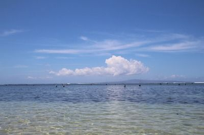 元寶鳳凰魚水質(zhì)管理方法：元寶鳳凰魚水質(zhì)管理的常見誤區(qū)元寶鳳凰魚水質(zhì)管理方法 元寶鳳凰魚水質(zhì)管理方法：元寶鳳凰魚水質(zhì)管理的常見誤區(qū)元寶鳳凰魚水質(zhì)管理方法 元寶鳳凰魚百科 第5張