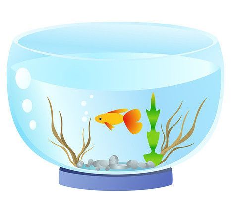水族館背景配圖（水族館背景配圖的設計原則）