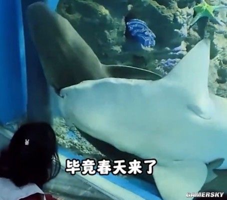清理魚缸水垢（ 清理魚缸水垢的最佳方法）