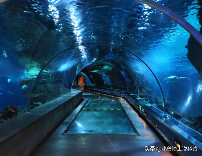 水族館建造費(fèi)用多少錢一平方（水族館建造費(fèi)用具體多少錢一平方）
