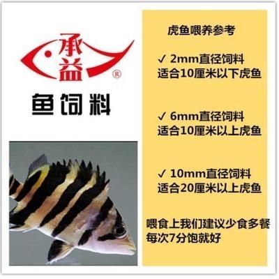 如何判斷四紋虎魚營養(yǎng)是否均衡，如何判斷四紋虎魚的營養(yǎng)是否均衡