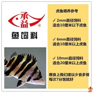如何判斷四紋虎魚營養是否均衡，如何判斷四紋虎魚的營養是否均衡