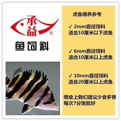 如何判斷四紋虎魚營養是否均衡，如何判斷四紋虎魚的營養是否均衡