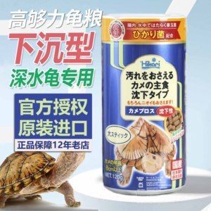 豬鼻龜活體：豬鼻龜的養殖技術