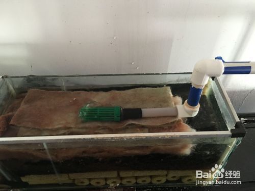 魚缸過濾器更換，如何正確清洗魚缸過濾器