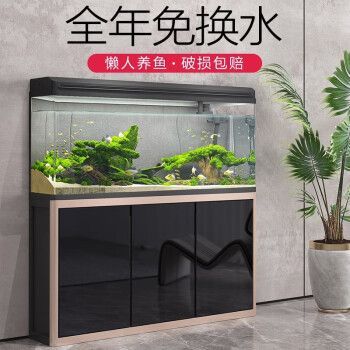 龍魚缸水深多少合適養魚，養龍魚的魚缸深度建議 龍魚缸水深多少合適養魚，養龍魚的魚缸深度建議 魚缸百科 第5張