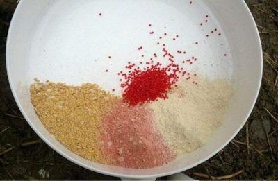 虎魚苗餌料自制方法，自制虎魚苗餌料保存技巧 虎魚苗餌料自制方法，自制虎魚苗餌料保存技巧 虎魚百科 第1張