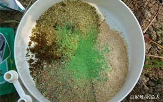 虎魚苗餌料自制方法，自制虎魚苗餌料保存技巧 虎魚苗餌料自制方法，自制虎魚苗餌料保存技巧 虎魚百科 第4張