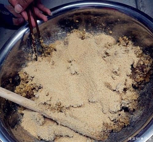 虎魚苗餌料自制方法，自制虎魚苗餌料保存技巧 虎魚苗餌料自制方法，自制虎魚苗餌料保存技巧 虎魚百科 第6張