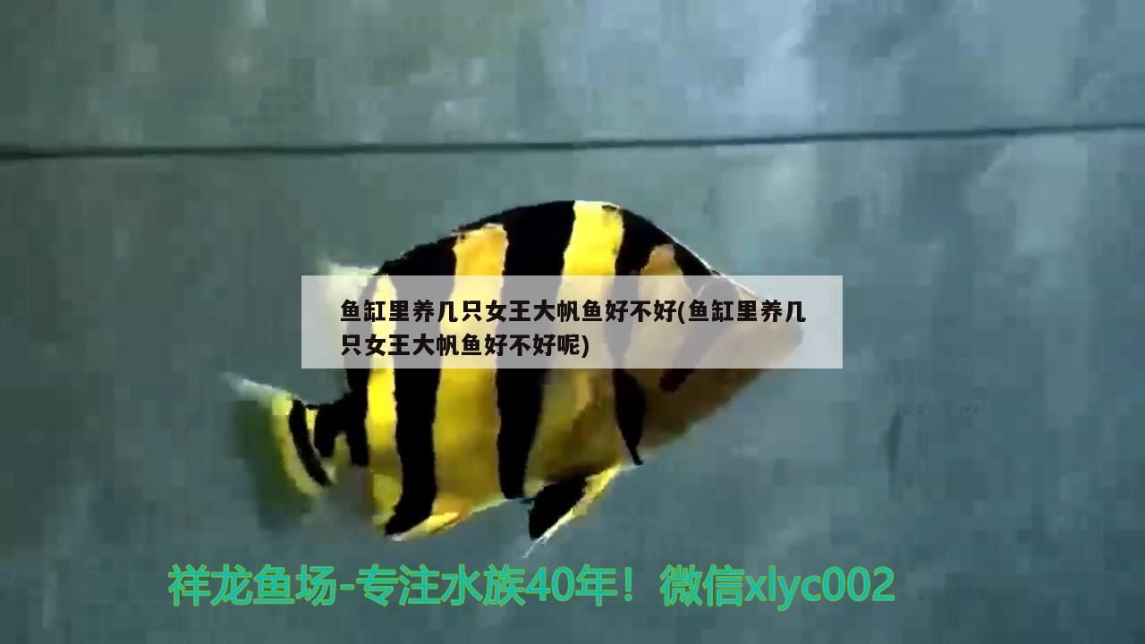 魚缸水泵改造視頻（魚缸水泵改裝）